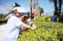 宜昌茶叶有哪些品牌