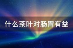 什么茶叶对胃好养胃