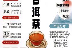 普洱茶是一种什么茶叶品种