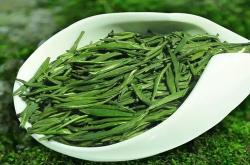雀舌茶水比例