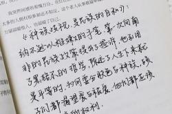灯红酒绿歌词手写图片
