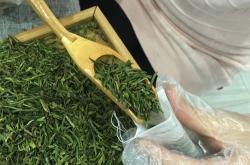 茶包的茶叶需要洗吗