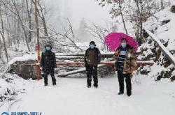 茶叶冰冻后会有什么效果吗