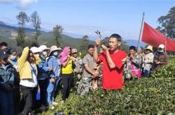 三千农茶有限公司