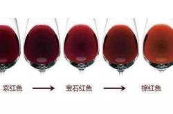 如何选购红酒图片大全