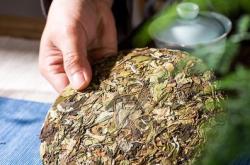福建北苑贡茶