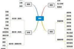 茶叶分销模式