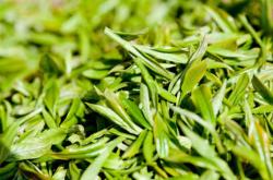 金寨茶叶哪里的最好
