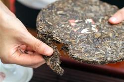 普洱茶生产厂家