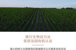 2012rouge红酒价格