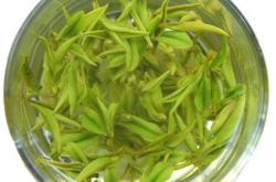 茶叶的成分和药理功效是什么?