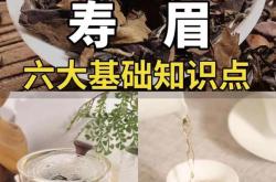茶叶知识普及