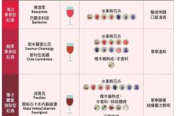 如何选购红酒杯和醒酒器