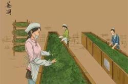 卖的茶叶挑茶了没喝怎么办