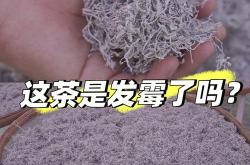 茶叶发霉还能喝?