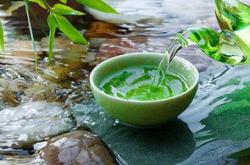 茶叶的药用成分有哪些