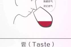 一个人喝红酒图片