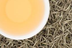 茶叶长白色小虫