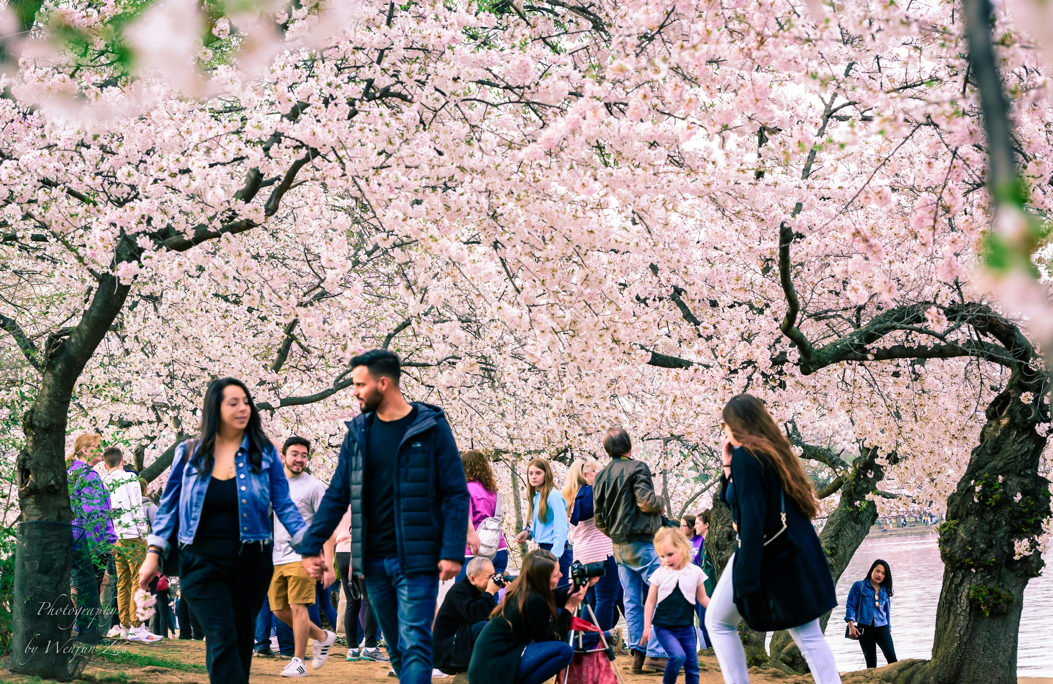 迎接春天的节日，3月16日，一窥春耕的诗意与科学