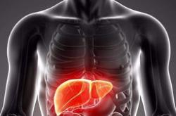 乳房长结节能不能喝红酒