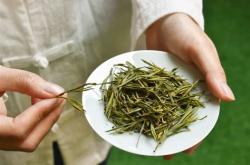 山里的茶叶