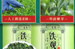 铁观音茶叶原产地