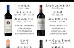 意大利红酒价格一览表