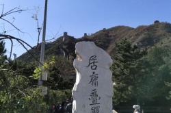 食用玫瑰花的种植方法及养护