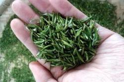竹叶青茶有什么好处