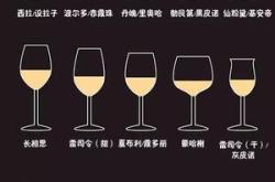 倒在杯子里的红酒可以放多久