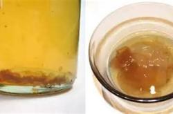 红酒氧化英文翻译