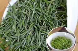 贵州翠芽茶叶