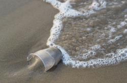 揭秘瓶装水包装的环保与科技革命，从塑料到可降解，我们离哪一步？