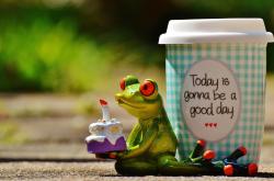 仙绿妙语一百三十五，探索生活中的智慧与幽默