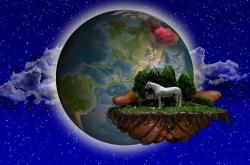 魔力宝贝，探索虚拟世界的百科全书