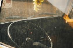 驾驭生活，学开车的基本知识与乐趣