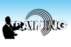 探索书法艺术，全国十大书法培训机构排名解析