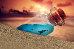 探索知识的海洋，百科百问的力量与魅力