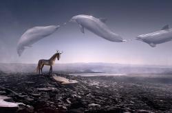 薛定谔的猫，量子世界的奇思妙想