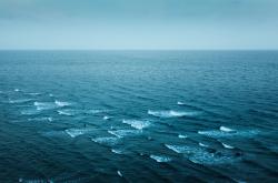 探索知识的海洋，问我百科的深度解析与应用指南