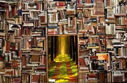 百科知识全书，开启智慧之门的金钥匙