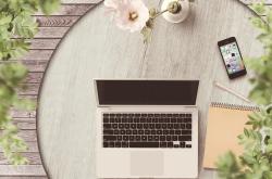 音乐的自由风，探索免费音乐网站的魅力