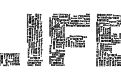 解锁智慧之门，测试智商10题答案大全解析