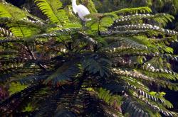 动物百科全书，探索自然界的宝藏