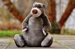 动物王国大挑战，揭秘动物知识竞赛的终极模板