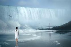 牛樟芝，大自然的神奇馈赠