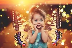 探索口袋世界，神奇宝贝图鉴app最新版深度解析