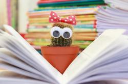 探索知识的宝库，百科全书的无限用处