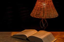 探索知识的宝藏，儿童百科类书籍推荐