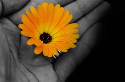 探索海棠之屋，您的个性化生活指南